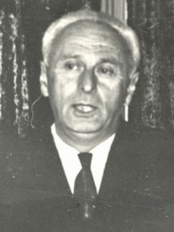მიხეილ ალავიძე