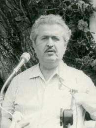 შალვა ამისულაშვილი
