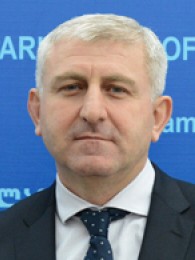 გოდერძი ჩანქსელიანი