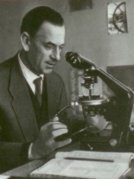 ვსევოლოდ ზენკოვიჩი