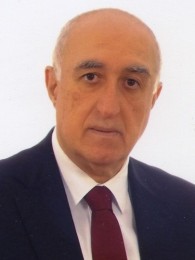 ბიძინა ჩოლოყაშვილი