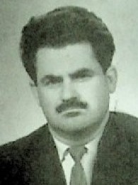 შოთა როყვა