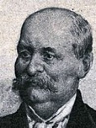 იან მინკევიჩი