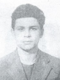 მაცი დამენია