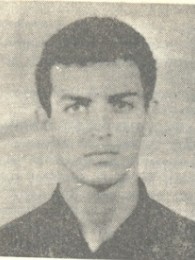 ამირან გოგოხია