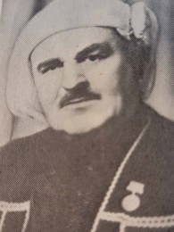 თოფუზ გაბაიძე
