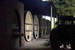 Wine Barrels