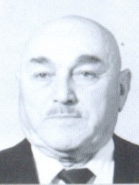 გიორგი დავითის ძე გიგაშვილი