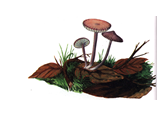Lurjimicena.PNG