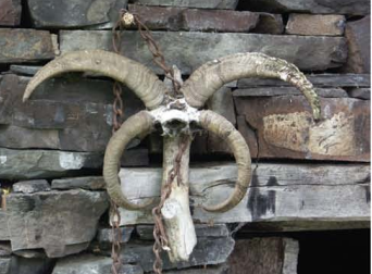 ფაილი:KARAT .png