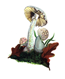 Girchisebri.PNG
