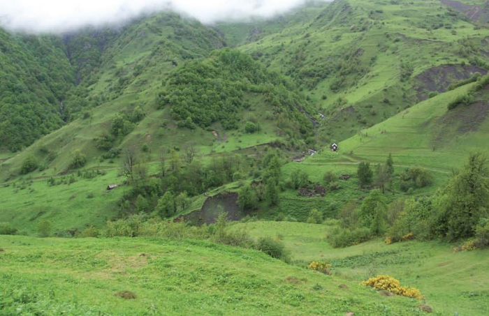 ფაილი:Walaisof.png