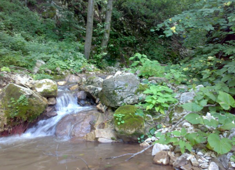 ფაილი:Qvabtkari.PNG