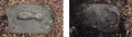 Goxnari 17.png