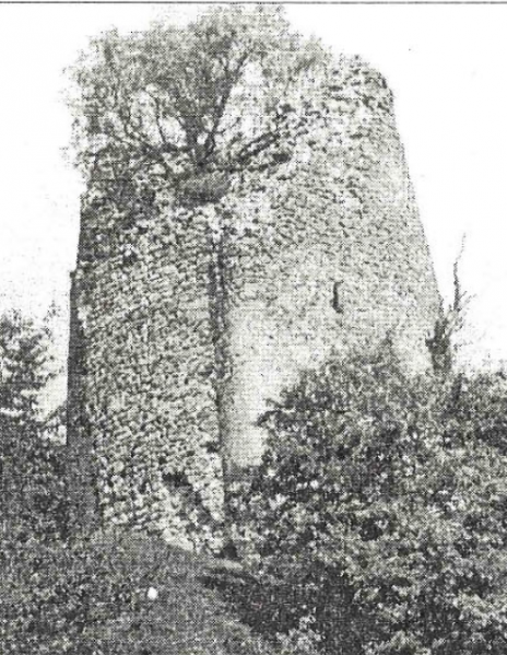 ფაილი:Zurgiani.png