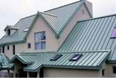 LiTonis saxuravi.jpg