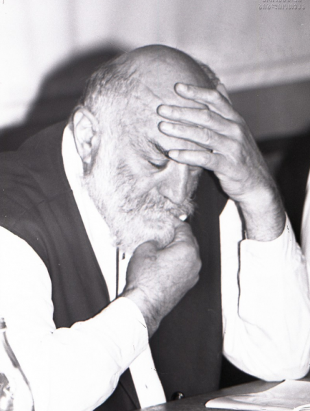 ფაილი:QafianiZe 2.png