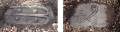 Goxnari 10.png