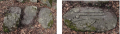 Goxnari 8.png