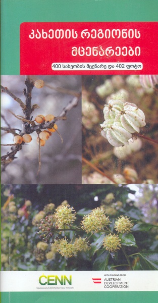 ფაილი:KaxeTis regionis mcenareebi.jpg