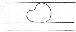 Kavalieri.png