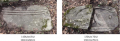 Goxnari 9.png