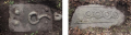Goxnari 12.png