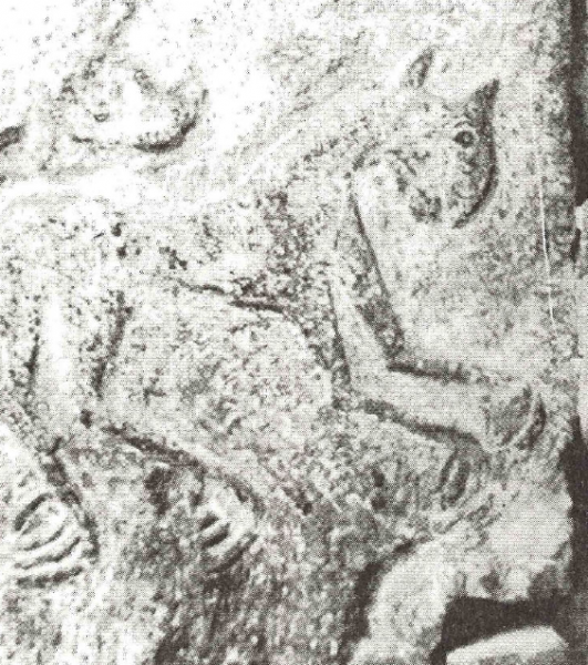 ფაილი:Fragm.png