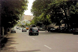 Yazbegis gamziri.png