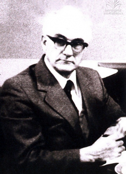 ფაილი:IVANE cXENKELI.png