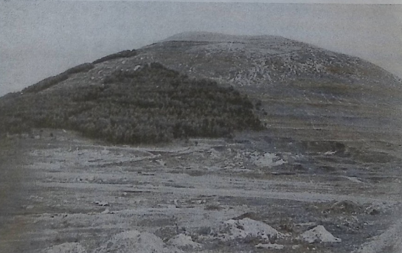 ფაილი:Amiranis gora.png