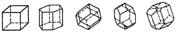 Fiodorovis sxeulebi.png
