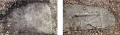 Goxnari 14.png