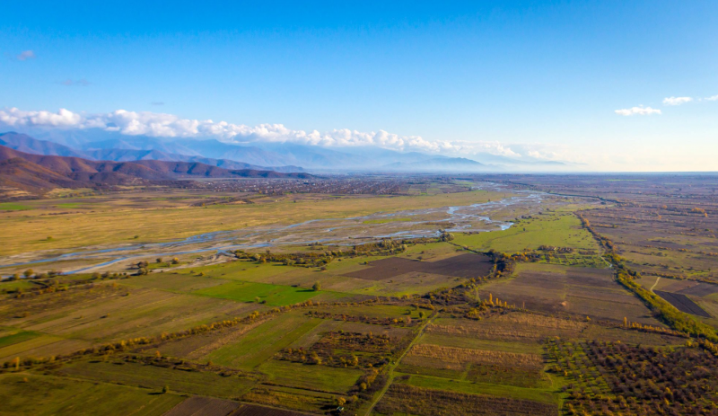 ფაილი:Alaznis veli.png